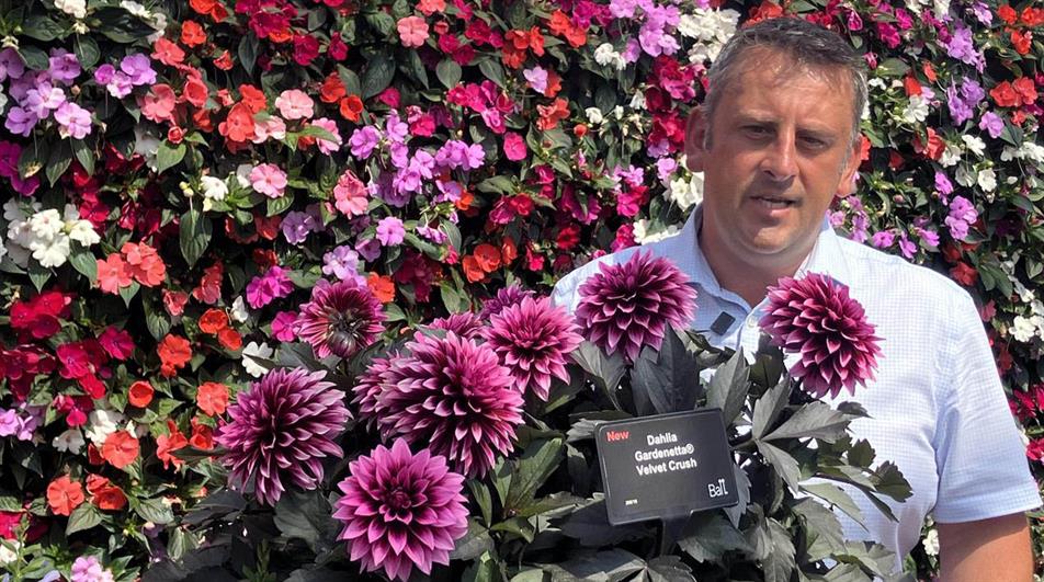 Andy Ward with Velvet Crush